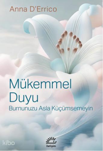 Mükemmel Duyu