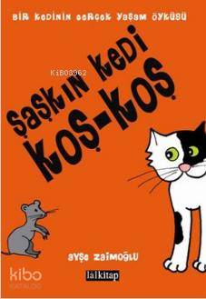 Şaşkın Kedi Koş Koş