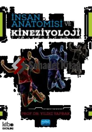 İnsan Anatomisi ve Kineziyoloji