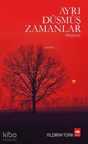 Ötüken Kitap Ayrı Düşmüş Zamanlar Yıldırım Türk