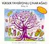 Yüksek Tansiyonlu Çınar Ağacı