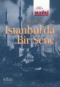 İstanbul da Bir Sene
