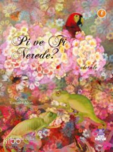 Pi ve Fi Nerede