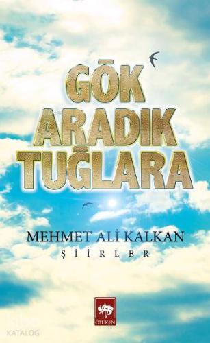Ötüken Kitap Gök Aradık Tuğlara Mehmet Ali Kalkan