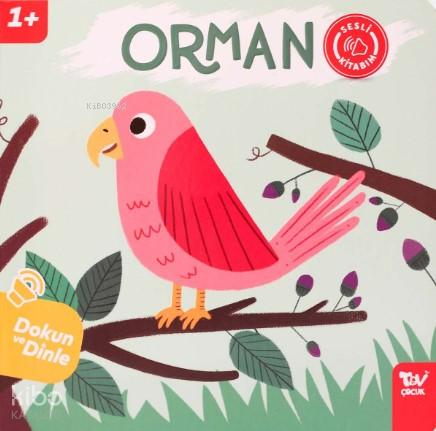 Dokun ve Dinle Sesli Kitabım Orman