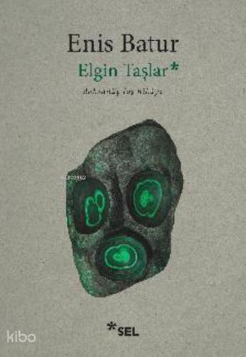 Elgin Taşlar