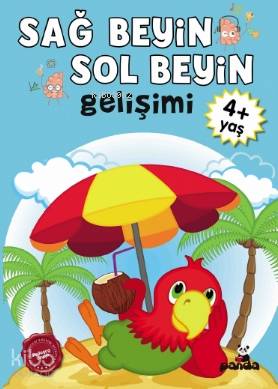 Sağ Beyin Sol Beyin Gelişimi 4 Yaş