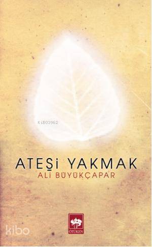 Ötüken Kitap Ateşi Yakmak Ali Büyükçapar