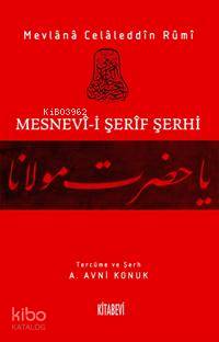 Mesnevi i Şerif Şerhi Cilt 13