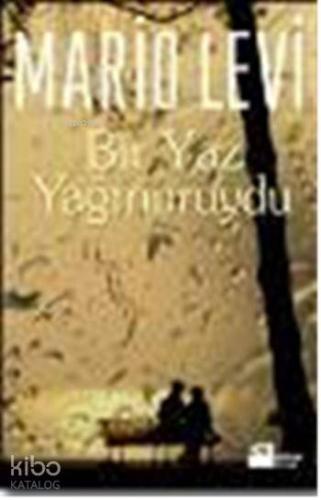 Bir Yaz Yağmuruydu