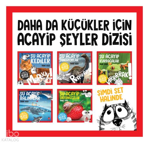 Daha Da Küçükler İçin Acayip Şeyler Seti 2 5 Kitap