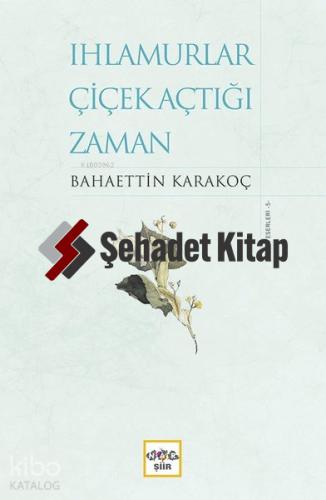 Şehadet Kitap
