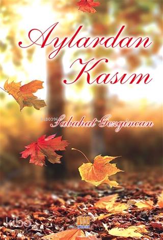 Aylardan Kasım