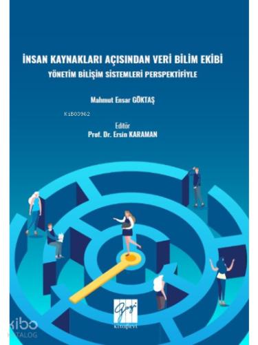 İnsan Kaynakları Açısından Veri Bilimi Ekibi Yönetim Bilişim Sistemleri Perspektifiyle