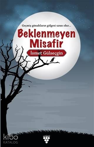 Beklenmeyen Misafir