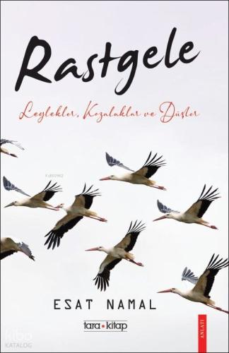 Rastgele Leylekler Kozalaklar ve Düşler