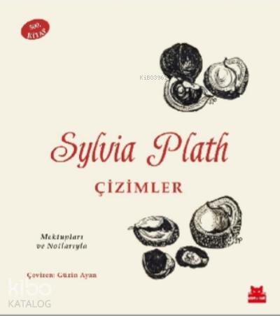 Sylvia Plath Çizimler Mektupları ve Notlarıyla