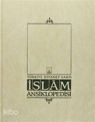 İslam Ansiklopedisi Cilt 31