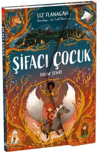 Şifacı Çocuk 2 Sırlar Şehri 3 Boyutlu Kapak