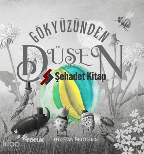 GÖKYÜZÜNDEN DÜŞEN