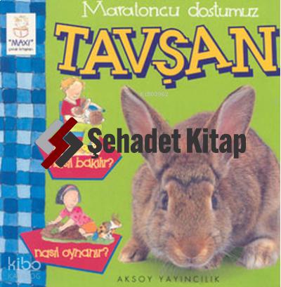 Maratoncu Dostumuz Tavşan