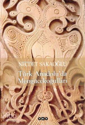 Türk Anadolu da Mengücekoğulları