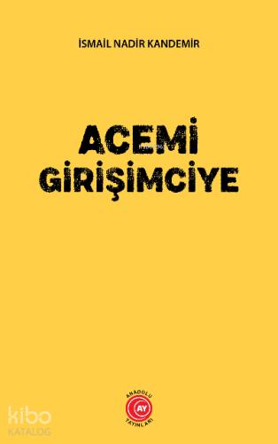 Acemi Girişimciye