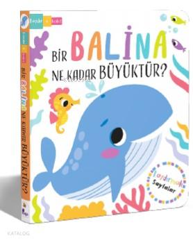 Bir Balina Ne Kadar Büyüktür Kaydır Keşfet