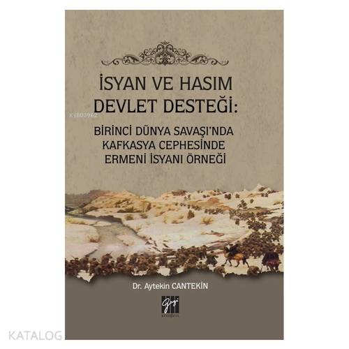 İsyan ve Hasım Devlet Desteği Birinci Dünya Savaşı nda Kafkasya Cephesinde Ermeni İsyanı Örneği
