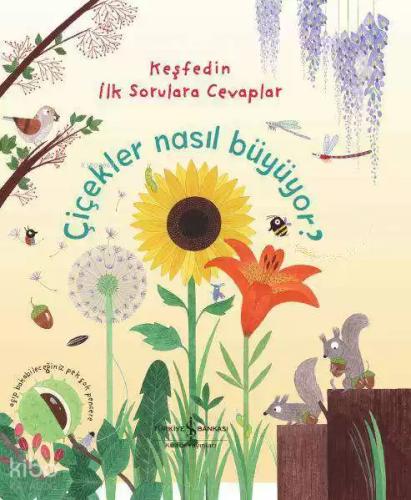 Çiçekler Nasıl Büyüyor
