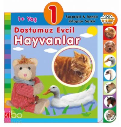 Şehadet Kitap