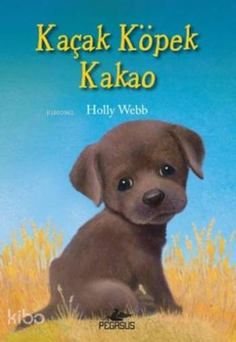Çikolata Köpek
