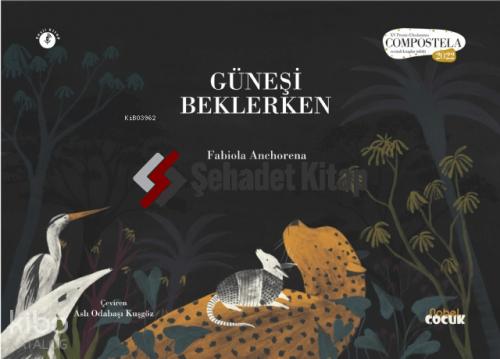 Güneşi Beklerken