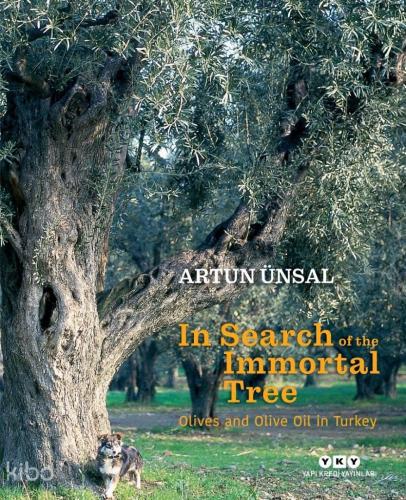 In Search Of The Immortal Tree Olives and Olive Oil in Turkey Ölmez Ağacın Peşinde