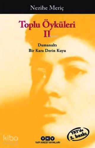 Toplu Öyküleri 1
