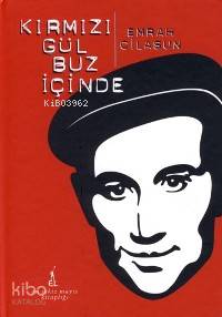 Kırmızı Gül Buz İçinde DVD Ekli