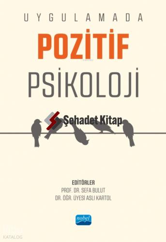 Uygulamada Pozitif Psikoloji