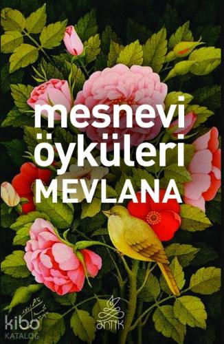 Mesnevi Öyküleri