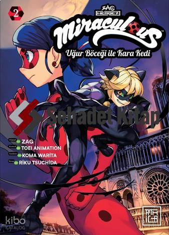 Miraculous Uğur Böceği ile Kara Kedi 2