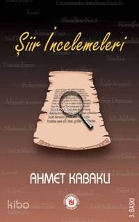 Şiir İncelemeleri