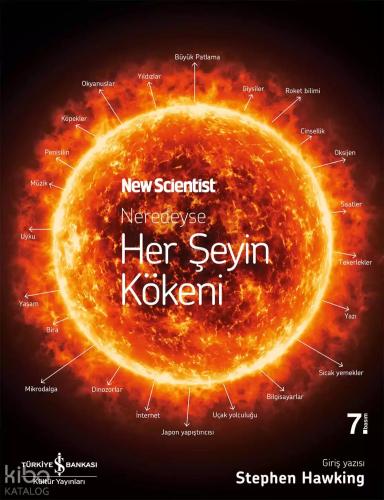 Neredeyse Her Şeyin Kökeni