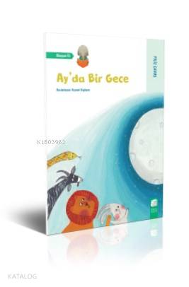 Ay da Bir Gece
