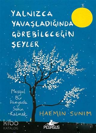 Yalnızca Yavaşladığında Görebileceğin Şeyler