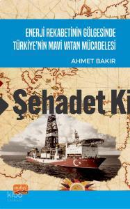 Enerji Rekabetinin Gölgesinde Türkiye nin Mavi Vatan Mücadelesi