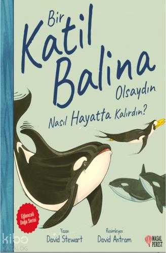 Bir Kutup Ayısı Olsaydın Nasıl Hayatta Kalırdın