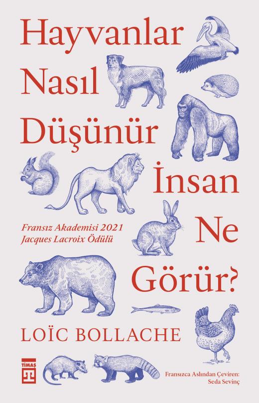 Timas Yayınları