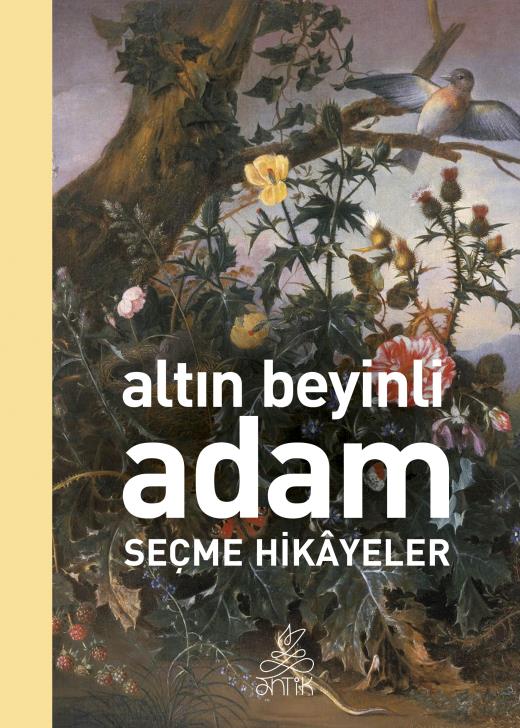 Timas Yayınları