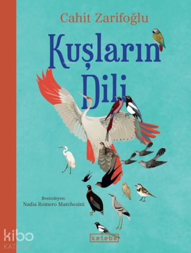 Teklif Kitap