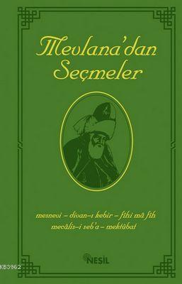 Çocuklar İçin Mevlana dan Öyküler