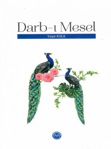 Darb ı Mesel